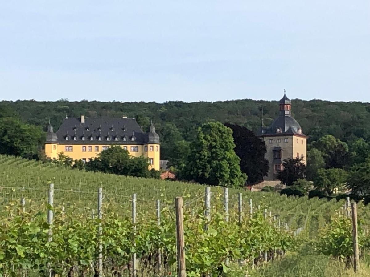 Rheingau Und Weltkulturerbe Mittelrheintal Erleben - Ferienappartement In Winkel Oestrich-Winkel Eksteriør bilde