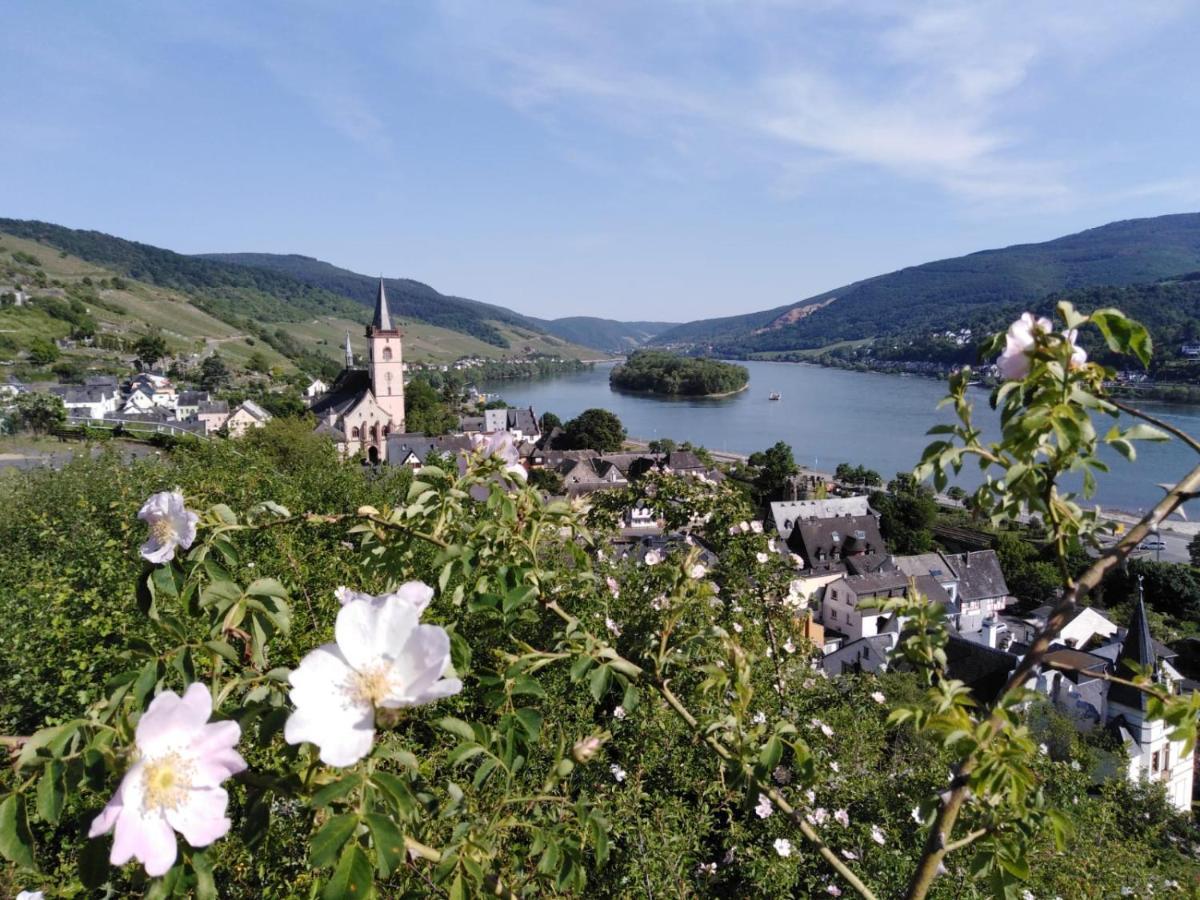 Rheingau Und Weltkulturerbe Mittelrheintal Erleben - Ferienappartement In Winkel Oestrich-Winkel Eksteriør bilde